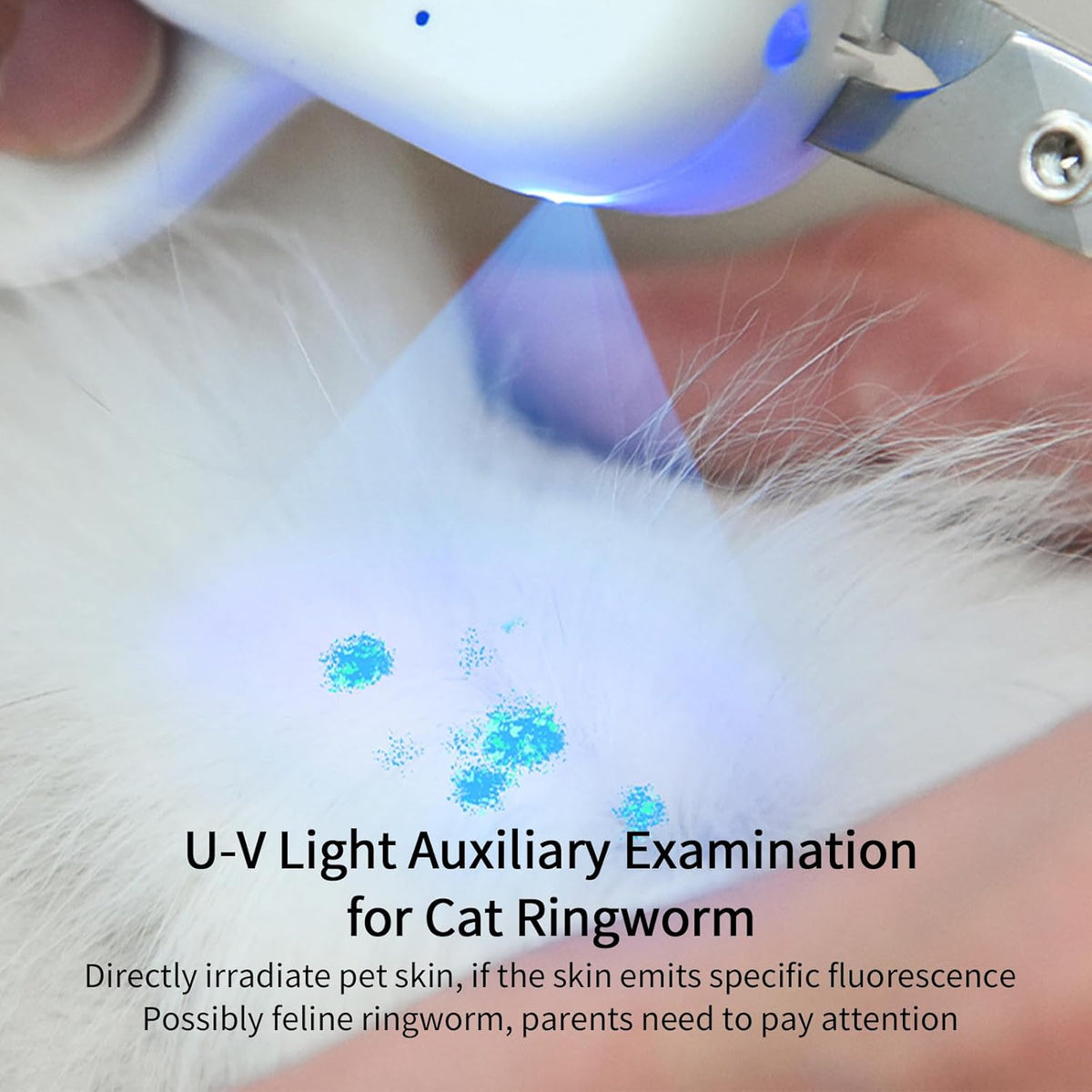 Cat Nail Clipper with LED Light - Suitable for Cats＆Dogs / Green - image 3
