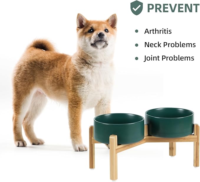 Ceramic Raised Double Bowls Set with Stand, Food & Water Bowls for Medium Breed Dogs, Weighted Dog Dishes, Pet Bowl(7.3'',41OZ, Green)