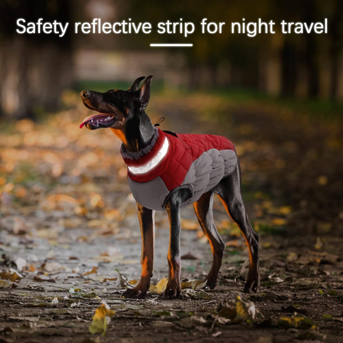 Dog Winter Jacket Cozy Reflective Waterproof Windproof Warm Pet - X-Small / Red - image 3