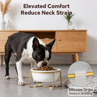 Small Glass Tilted Elevated Cat Dog Bowl Raised Cat Food Water Bowl - Large / White-Flat - image 4