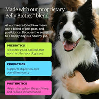 Get Joy Gut Health Fresh Freeze Dried Raw Meal, Beef Recipe, 16 Ounce Bag, Dog Food for Dogs of All Breeds and Life Stages, PhD Animal Nutritionist Formulated, USDA Beef, Made in USA
