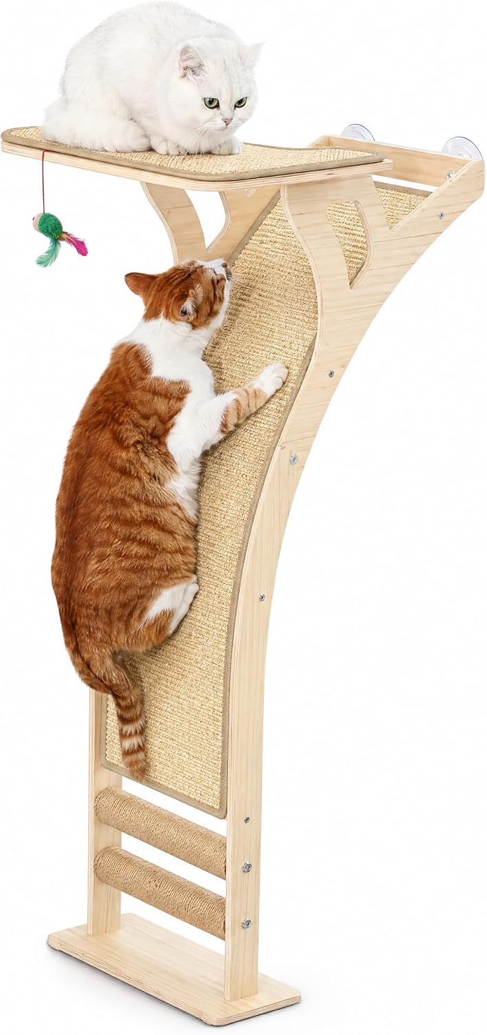 Cat Scratching Post with Large Window Perch - Medium