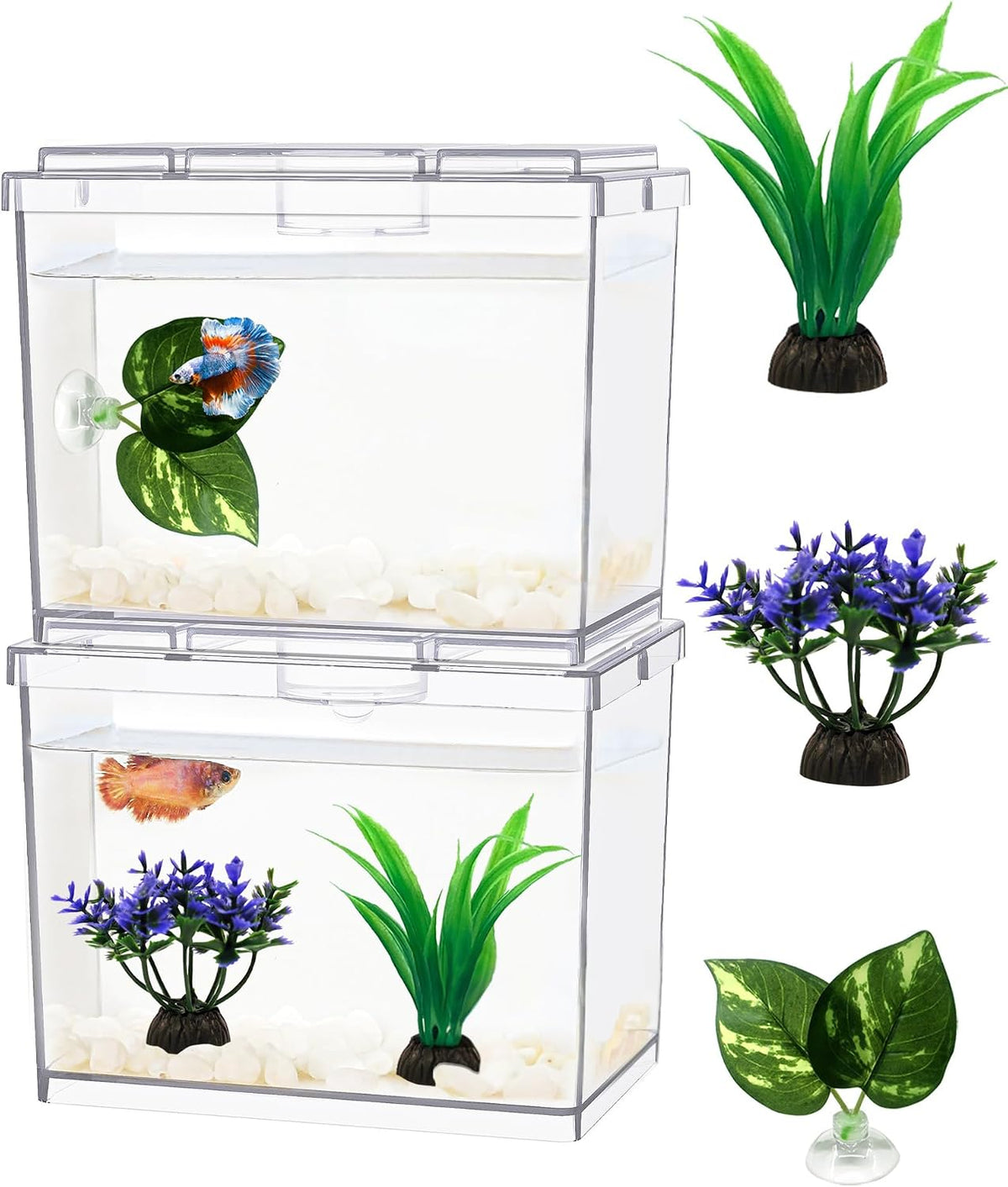MoonOrange Mini Betta Fish Tank Kit with LED Light Base - Mini Tank 01 + 02