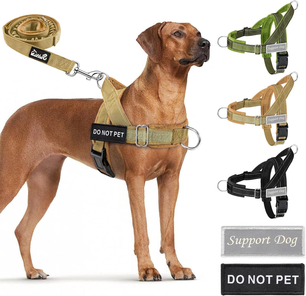 SlowTon No Pull Dog Harness and Leash Set, Heavy Duty - Tan / Medium