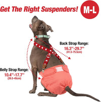 Pet Soft Dog Suspenders 2 Pieces Female Dog Diaper Suspenders - Heart / M/L - image 2