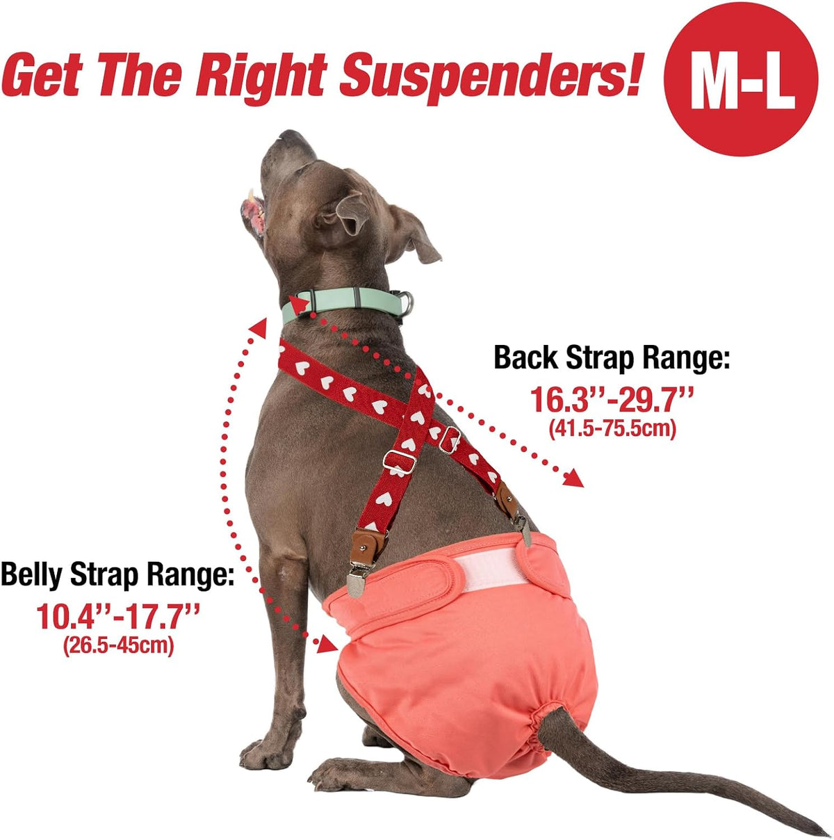 Pet Soft Dog Suspenders 2 Pieces Female Dog Diaper Suspenders - Heart / M/L - image 2