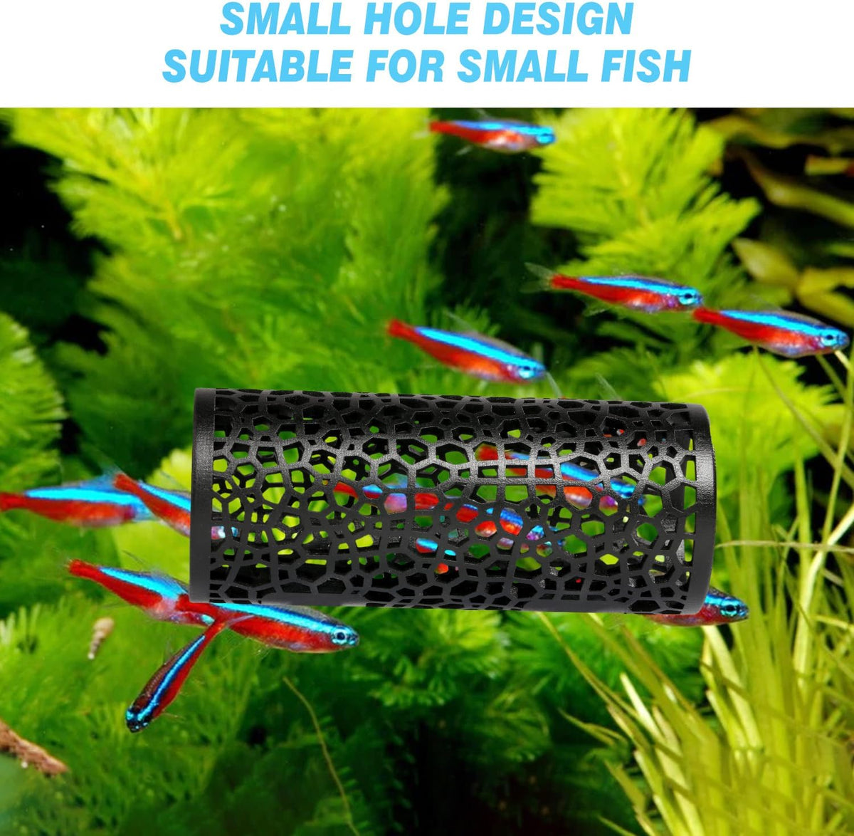 Abizoo Betta Fish Tunnel & Reptile Hide - Black - image 4