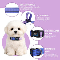 Roses&Poetry Reflective Dog Collar with Gradient Mistyrose - Medium / BluePurple - image 2