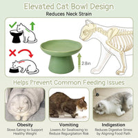 VCEPJH Elevated Cat Bowls 6.1in Wide Shallow Ceramic Raised Food Dish – Essentials for Cats - Green(Pack of 2) - image 3