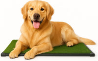 PETMAKER Artificial Grass Puppy Pee Pad with Tray for Dogs