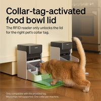 PETLIBRO RFID Automatic Cat Feeder - White / 3L*2 Packs - image 3