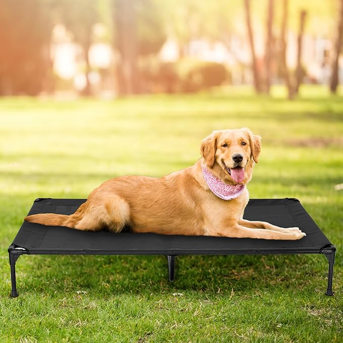 Elevated Dog Bed for Outdoor, Medium Raised Dog Cot with Washable Mesh, Cooling Pet Cot Chew Proof for Outside Camping, 32"x25" Black