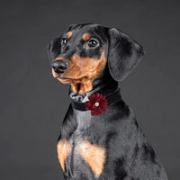 Collar Flowers with Pearl - Small - image 4