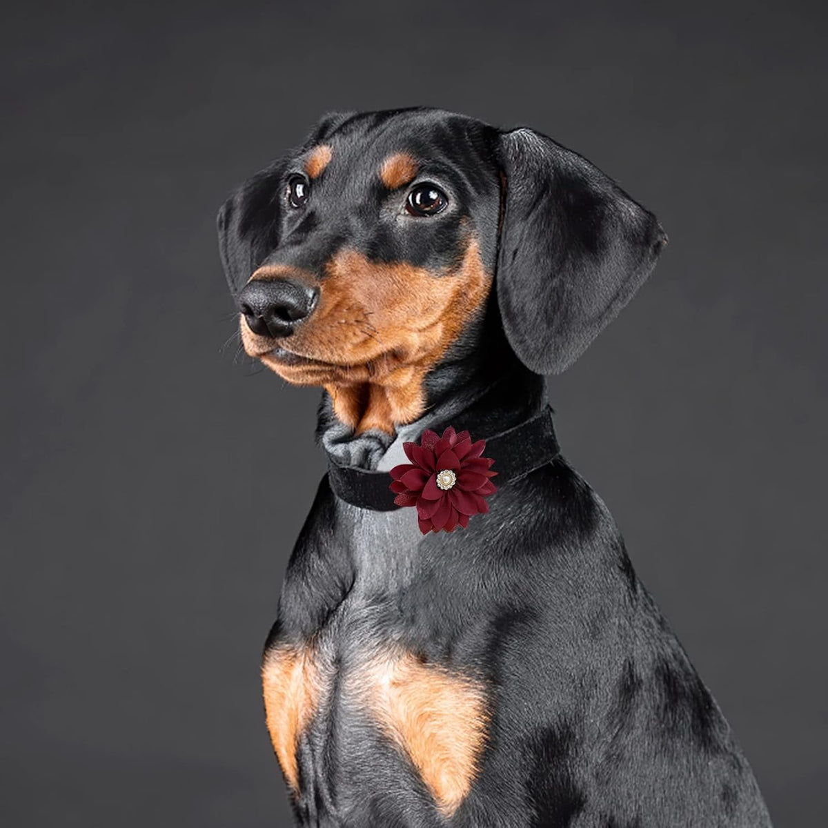 Collar Flowers with Pearl - Small - image 4
