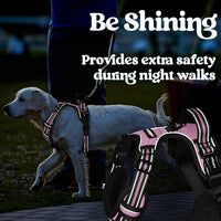 rabbitgoo Dog Harness for Large, No Pull Pet Harness with 3 Buckles, Adjustable Soft Padded Vest with Control Handle, Walking Reflective Pet Vest for Extra Large Dogs, Pink, XL