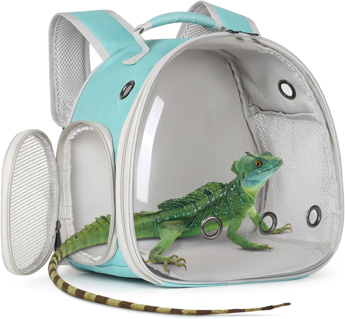 Bearded Dragon Travel Carrier, Lizards Carrier - Green / Backpack