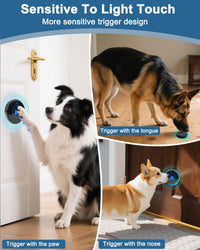 Dog Door Bell for Potty Training - Black – 4 Buttons - image 3