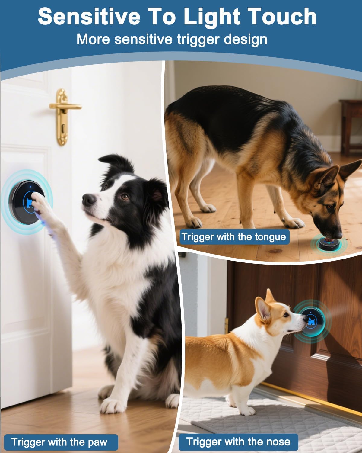 Dog Door Bell for Potty Training - Black – 4 Buttons - image 3