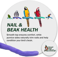 Brid Cage Safety Pumice Perch - Trims Nails and Beak - Promotes Healthy Nails and Beaks - Safe Non-Toxic Bird Supplies for Bird Cages - Large 12"