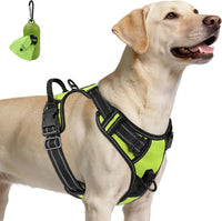 Joytale No Pull Dog Harness Medium Sized Dog, Front Clip - Large / Green