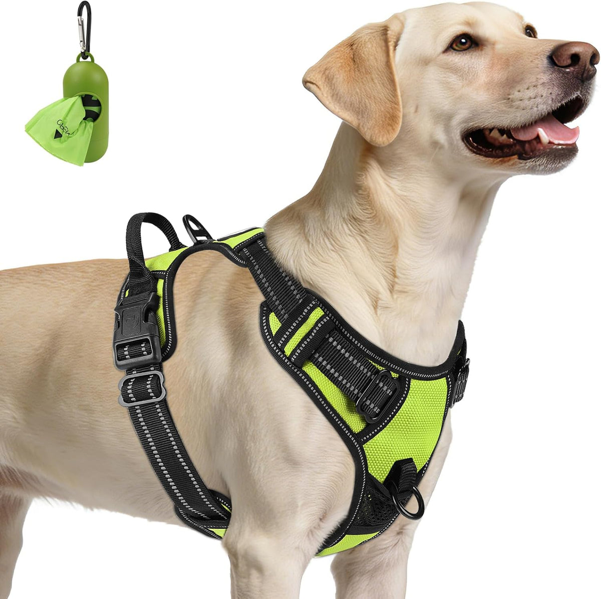 Joytale No Pull Dog Harness Medium Sized Dog, Front Clip - Large / Green