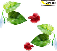 CousDUoBe 2 Pack Betta Fish Leaf Pad Improves Betta's Health - 2 Pack - image 4