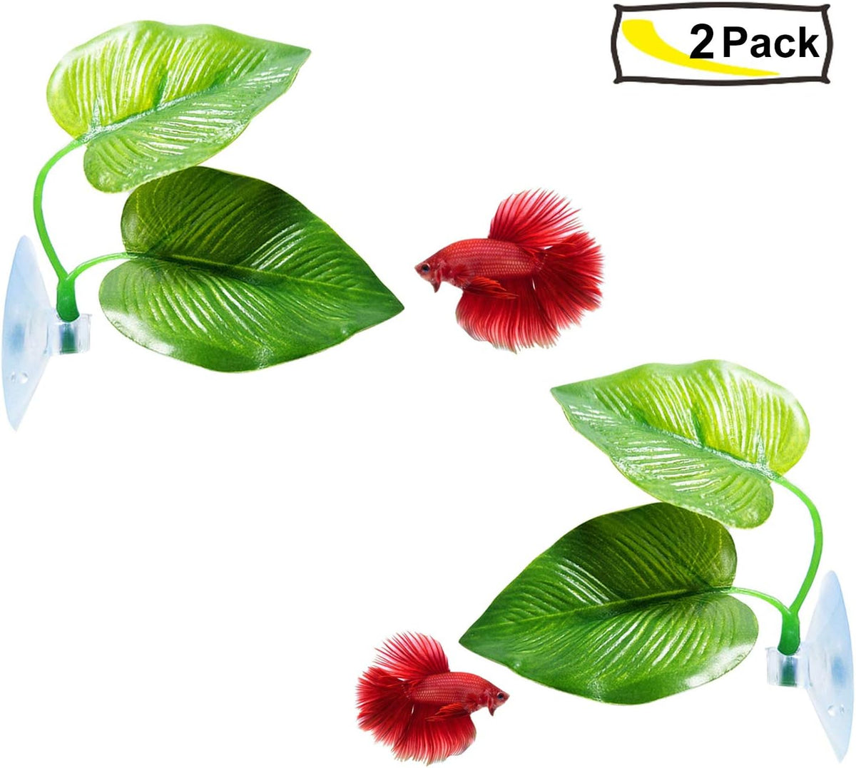 CousDUoBe 2 Pack Betta Fish Leaf Pad Improves Betta's Health - 2 Pack - image 4