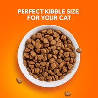 IAMS Proactive Health Adult Healthy Dry Cat Food with Chicken, 22 lb. Bag