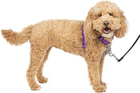 PetSafe 3 in 1 Dog Harness - No Pull Solution for Dogs - Reflective Dog Harness - Front D-Ring Clip Helps Stop Pulling - Comfortable Padded Straps - Top Handle Enhances Control - Plum - Small