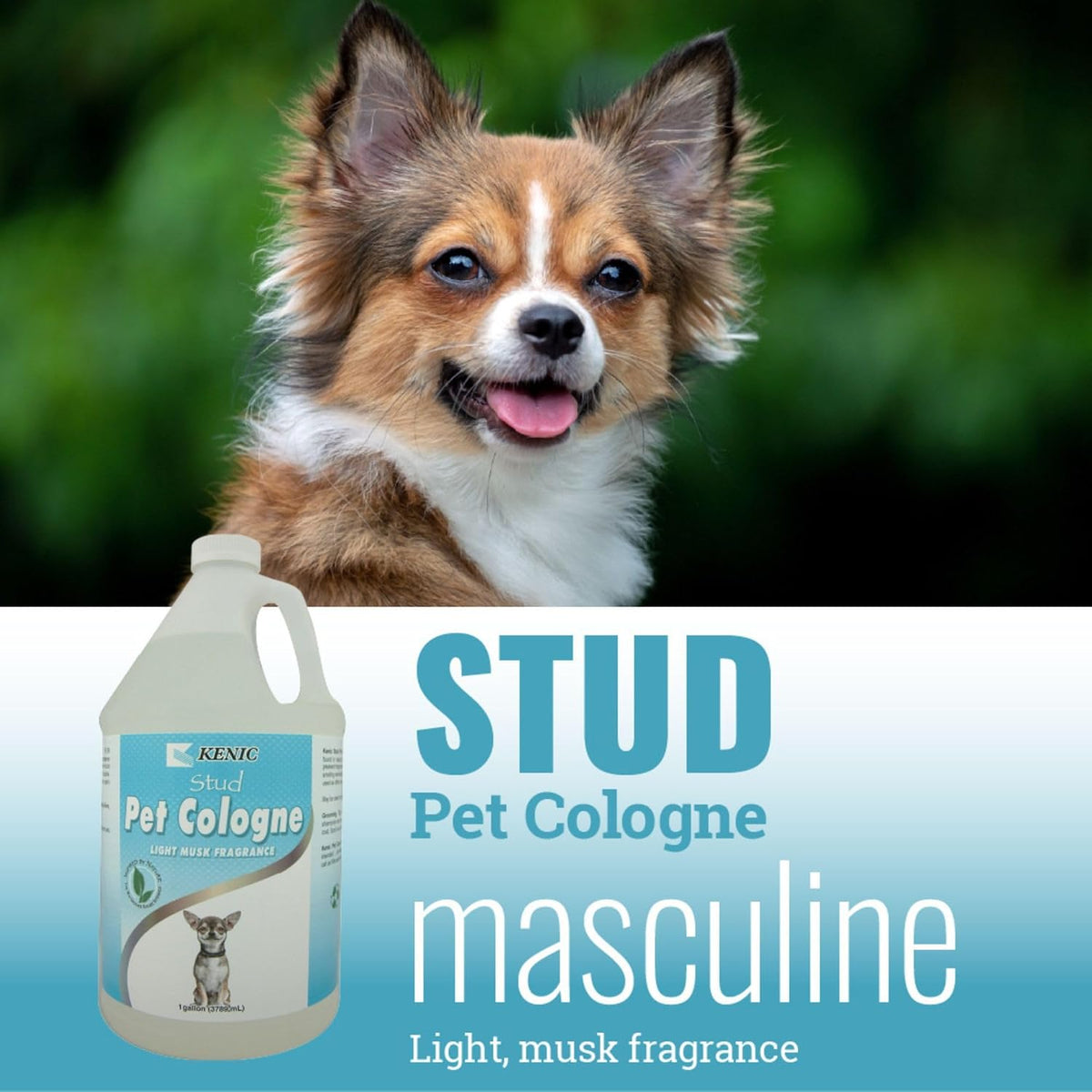 Pet Cologne, Long Lasting Scented Dog & Cat Deodorizing Spray - Light Musk - image 3