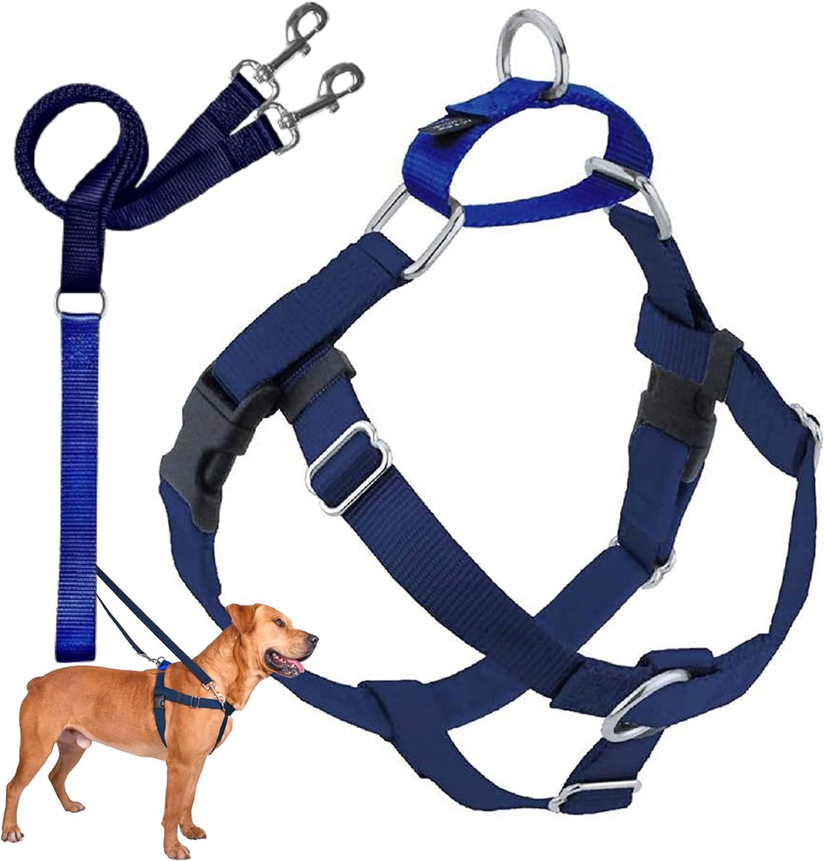 2 Hounds Design Freedom No Pull Dog Harness and Leash, 1" LG - Navy / SM (Chest 20" - 24")