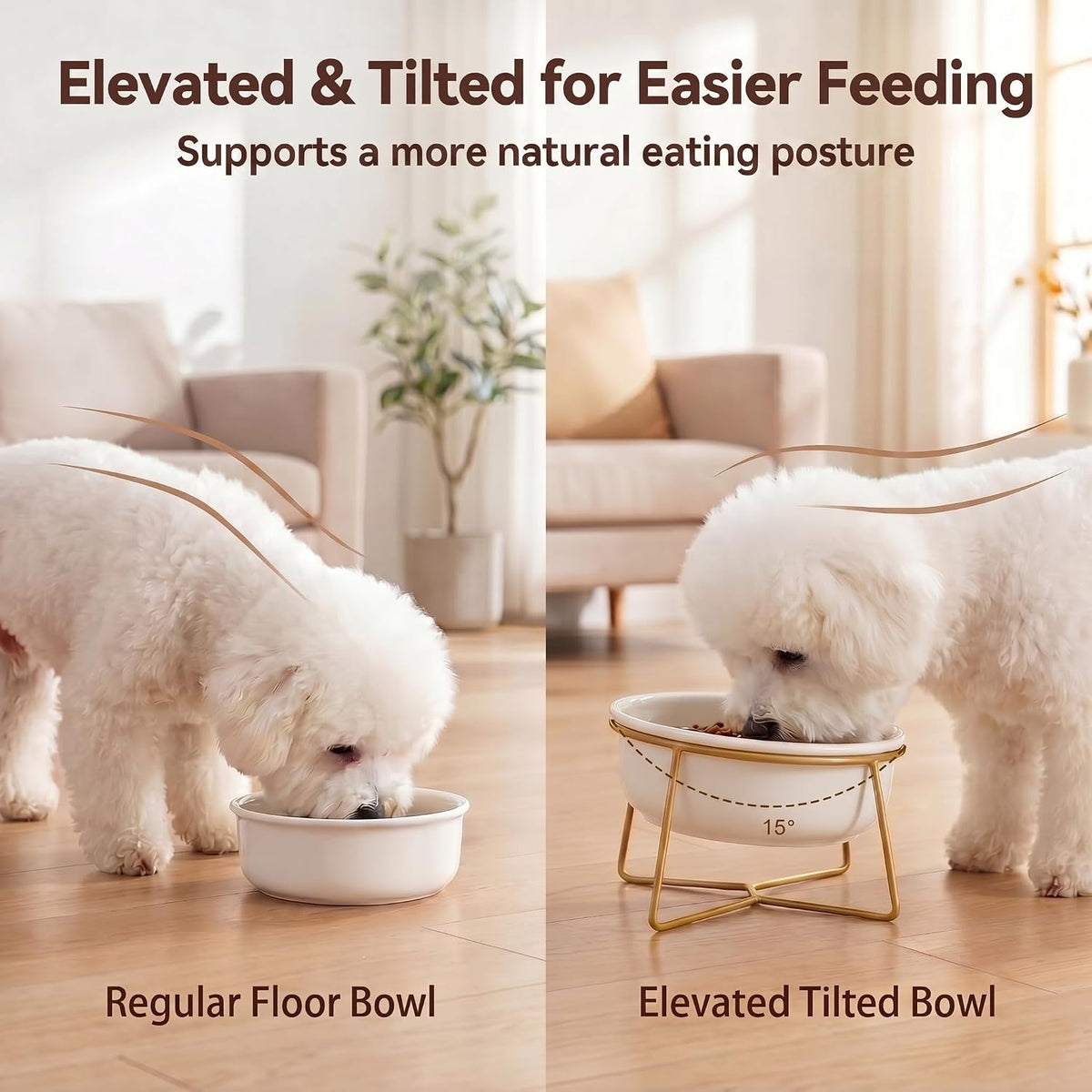 Small Glass Tilted Elevated Cat Dog Bowl Raised Cat Food Water Bowl - Large / White - image 3