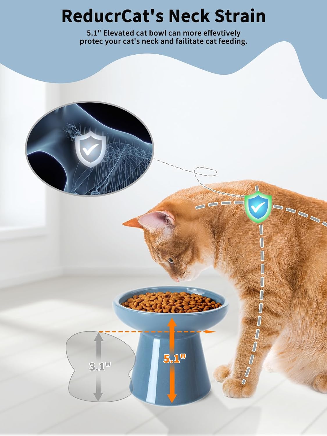 Elevated Cat Food and Water Bowls Set - Single (Food Bowl) / Deep Blue - image 3