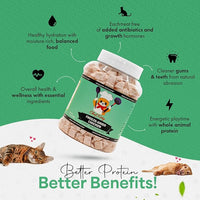 Freeze-Dried Chicken Treats for Cats & Dogs – 100% Human Grade, Single Ingredient, High-Protein, Healthy Snack – No Additives or Preservatives – 3.5oz - Inspected & Tested in USA