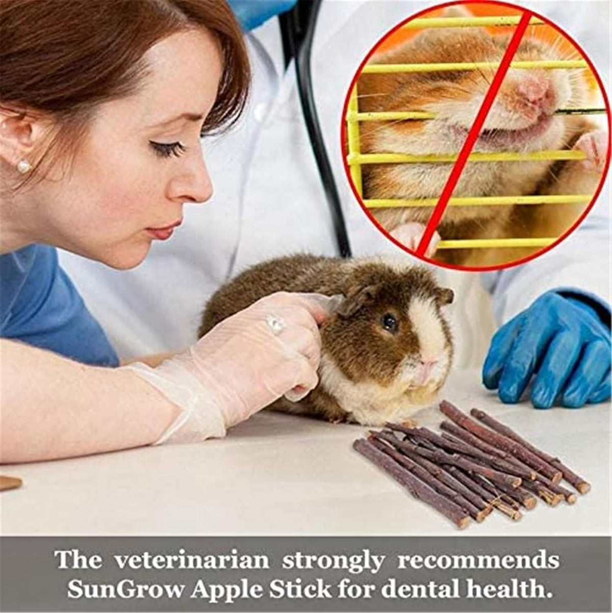 ANDES Rabbit Chew Toys, Pet Bunny Tooth Chew Toys Organic Natural Apple Wood Grass Cake Ideal - 28PCS - image 4
