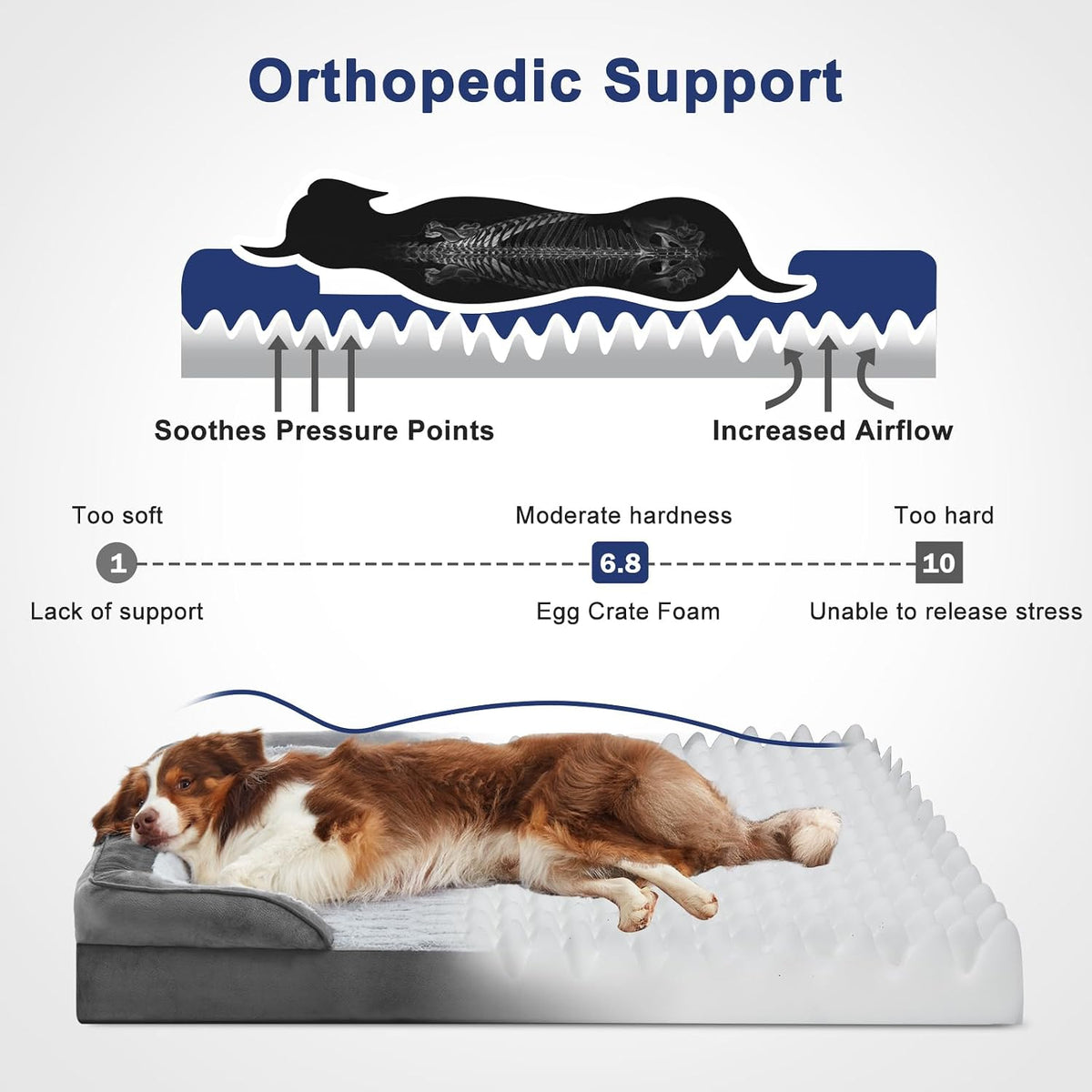 FURTIME Orthopedic Supportive Large Dog Bed - image 2