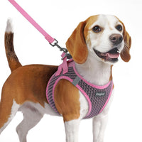 Eagloo Small Dog Harness and Leash Set - M(Chest:16.0"-18.5") / Pink