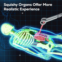 GobiDex Human Body Skeleton Model Kit - image 3