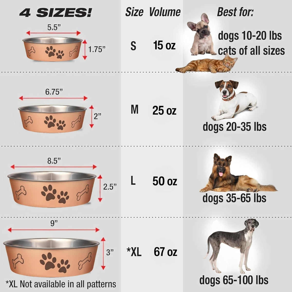 Loving Pets Bella Dog Bowls, Stainless Steel Dog & Cat Bowls - Champagne / Medium (20-35lbs) - image 3