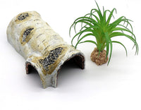 Reptile Hides and Caves Birch Tree Bark Trunk Habitats Decor Aquarium - Medium