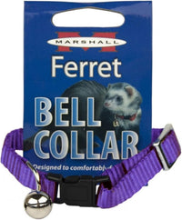 Marshall Pet Ferret Bell Collar Royal Blue – Essentials for Small Pets - Purple