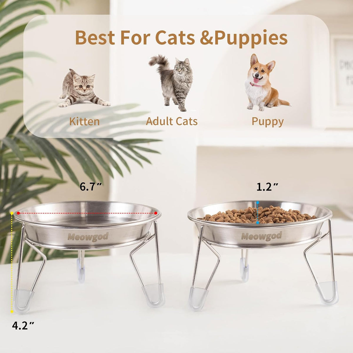 Elevated Cat Bowls,6.7" Extra Wide Raised Stainless Steel Cat Food Bowls with Anti-Slip Metal Stand - 2 bowls with stand - image 2