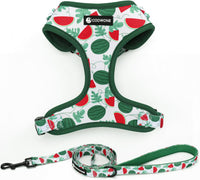 Dog Harness and Leash Set, Adjustable Dog Harness, Dog Leash - Green Watermelon / M(Chest 15.7 - 22.1", Neck 12 - 15")