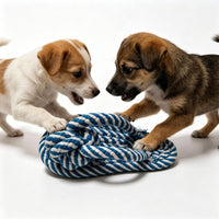 Dog Toys Puppy Teething Chew Toys 3 PCS - blue and white slippers - image 3