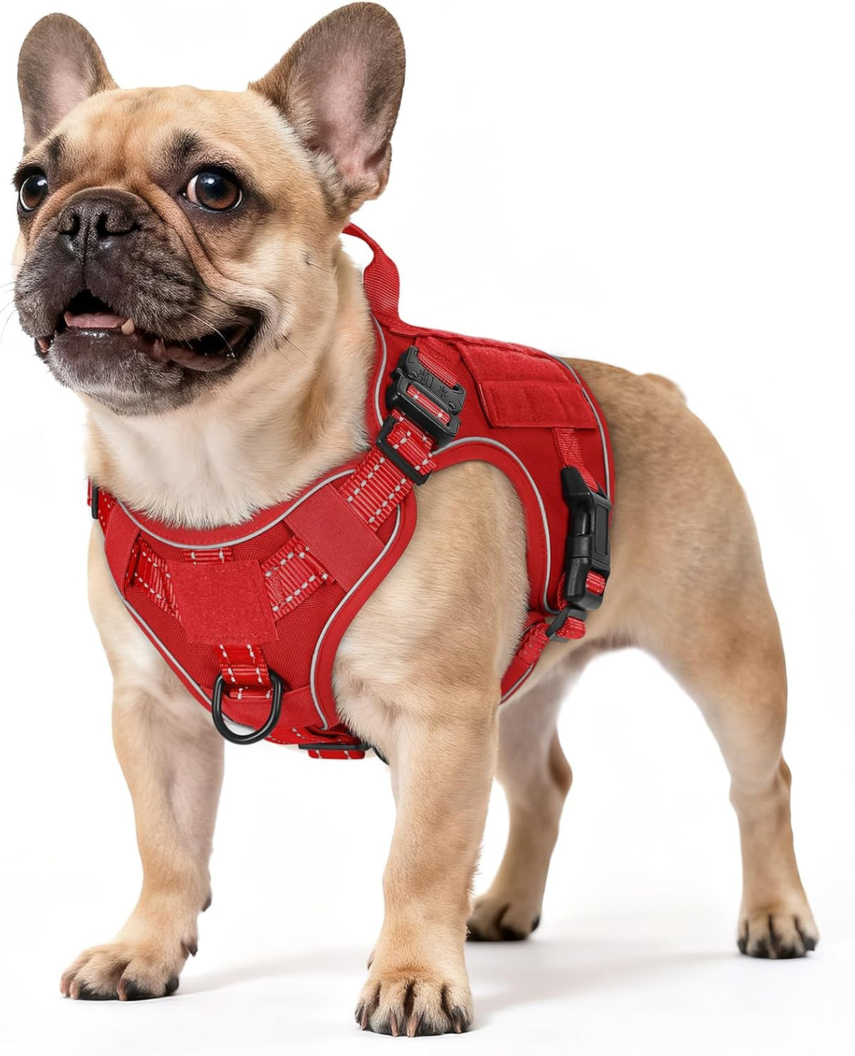 rabbitgoo Tactical Dog Harness for Large - Red Reflex / Small