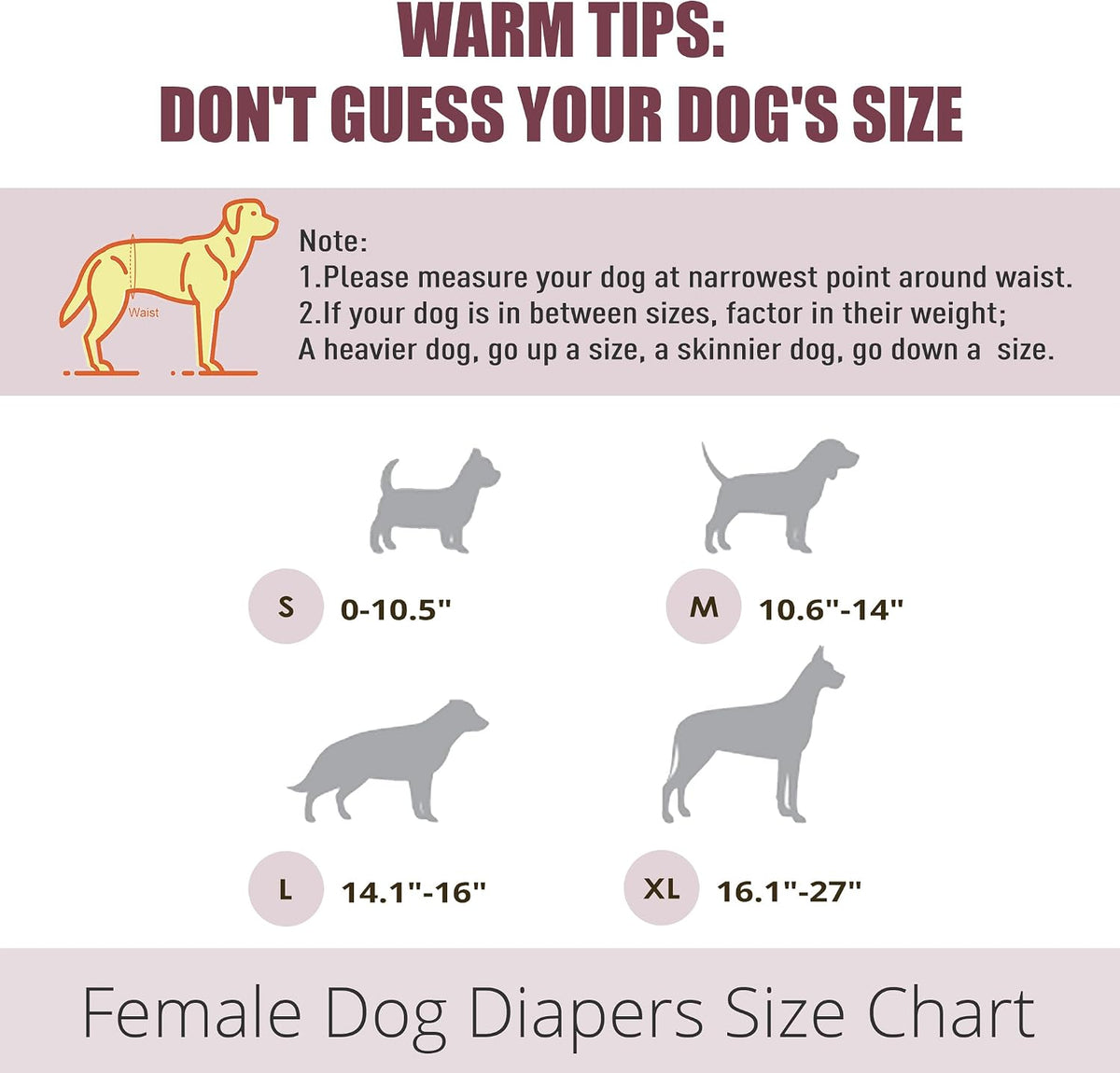 wegreeco Dog Diapers Female - Large (Pack of 3) / Ethnic Print - image 3