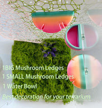 2 Pack Jumping Spider Accessories Mushroom Ledges & 1 Pack Water Bowl - green+yellow - image 2