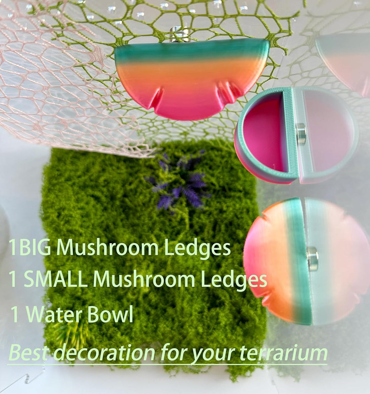 2 Pack Jumping Spider Accessories Mushroom Ledges & 1 Pack Water Bowl - green+yellow - image 2