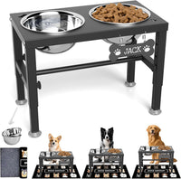 SHAINFUN Elevated Dog Bowls with Slow Feeder & Mat for Medium - Black-1.7L