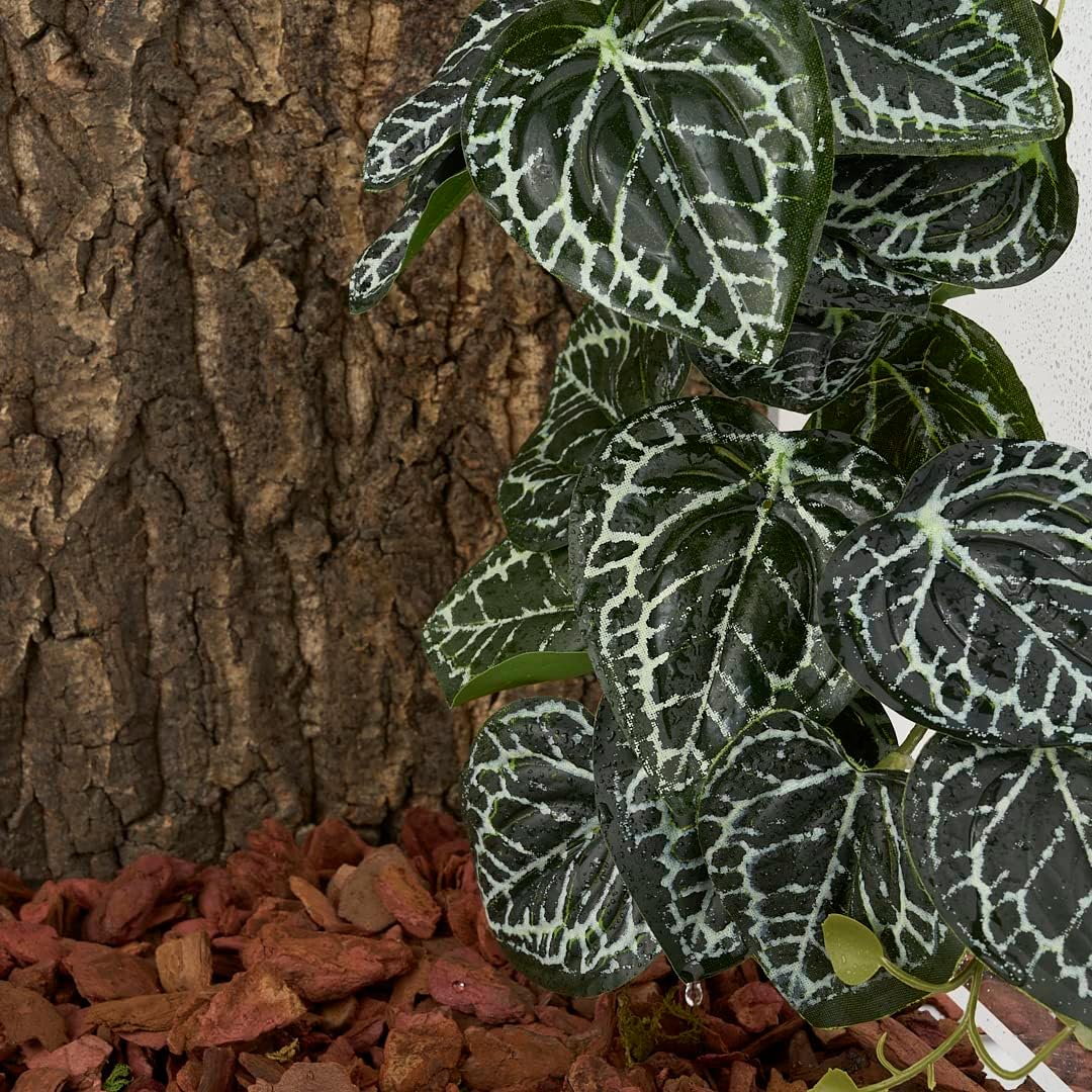 Fake Calathea Orbifolia, Reptile Terrarium Suction Plants – Essentials for Fish - Fake Anthurium Crystallinum - image 4